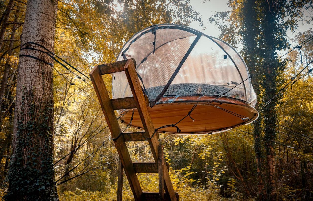 Les Bulles De La Maison Du Rocher Noisy-sur-Ecole Exteriör bild